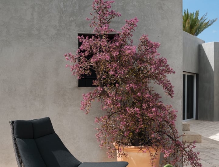 Wohnidee Luzern Gartenmöbel Saison 2020